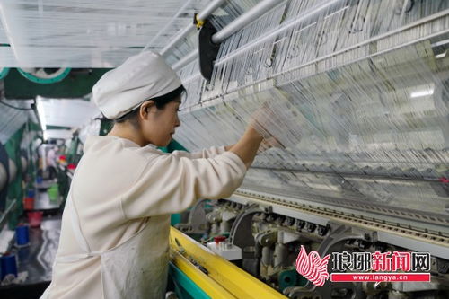 织 造 经 彩 临沂市纺织产业加快转型升级正当时